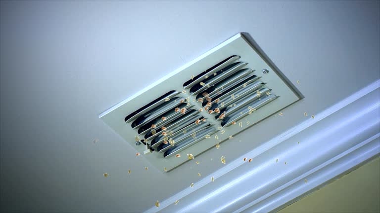 Best Air Duct Cleaning Near Me  in Madison Lake, MN