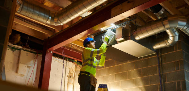 Air Duct Mold Removal in MN
