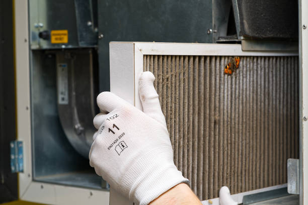 Best Emergency Air Duct Cleaning  in Madison Lake, MN